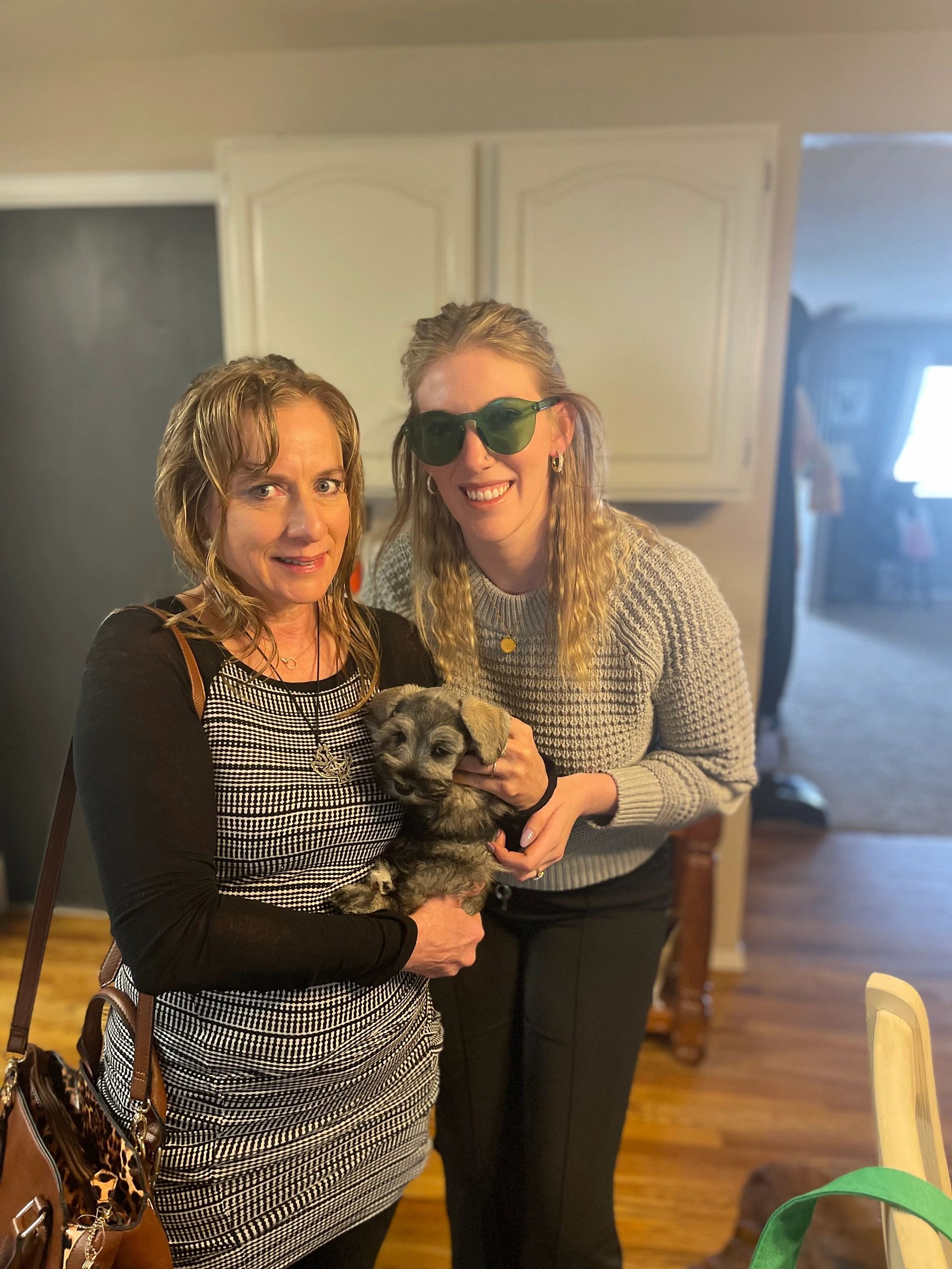 Family member holding a Miniature Schnauzer puppy