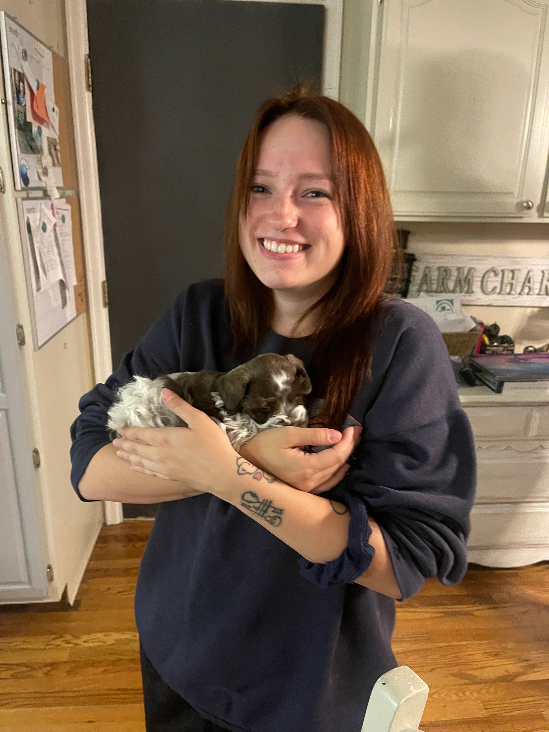 New owner holding a Miniature Schnauzer puppy